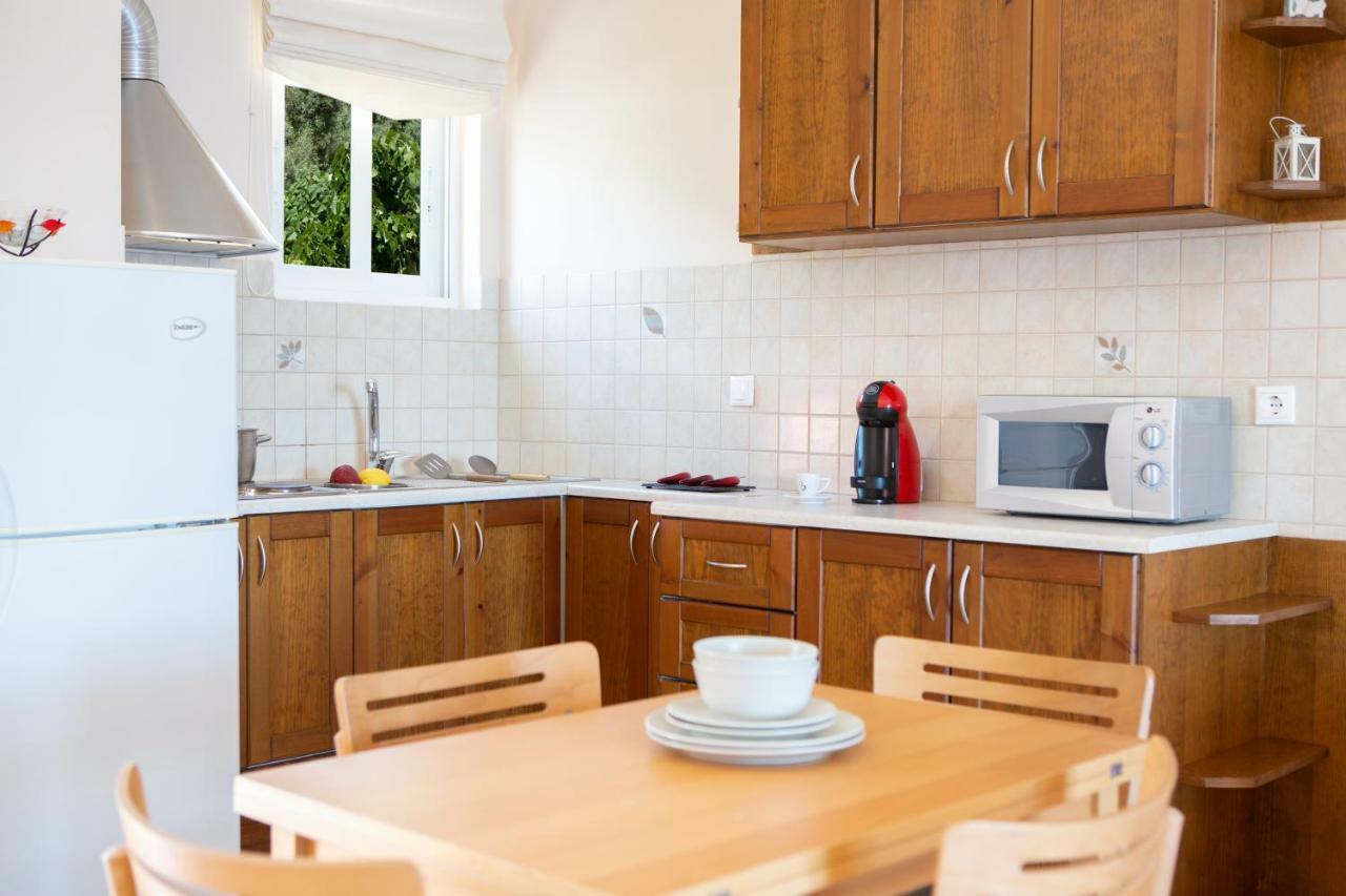 Thalassa Apartments Nydri  Zewnętrze zdjęcie